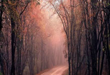 333体育app:21-22賽季英超聯賽第6輪比賽集錦.