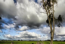 333体育官网：[乒乓球]亚洲杯小组赛第2轮：林高远VS赵大成 集锦.