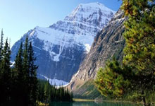 333体育入口:身陷降級區 南安普頓開除哈森許特爾.